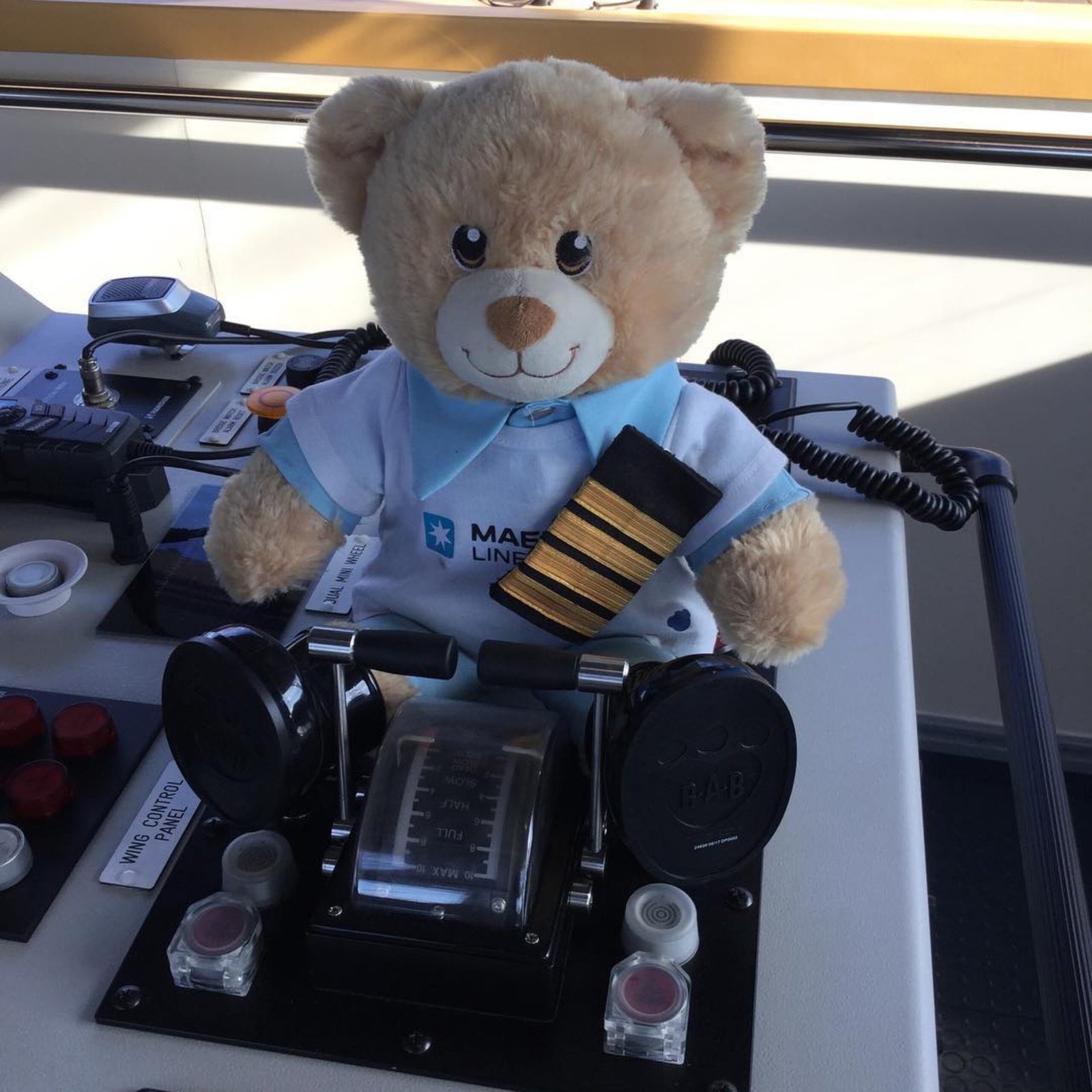 what is the Maersk Bear ?