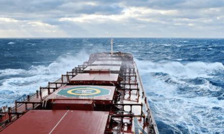 One stowaway found dead on bulk carrier off the coast of Samsun